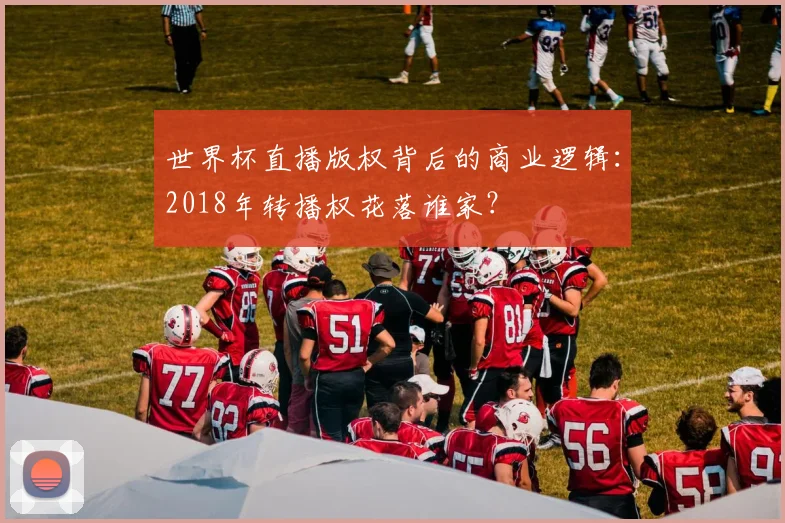 世界杯直播版权背后的商业逻辑：2018年转播权花落谁家？