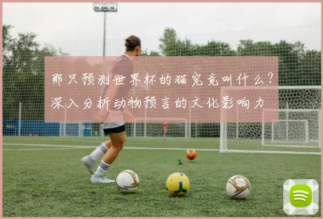 那只预测世界杯的猫究竟叫什么？深入分析动物预言的文化影响力